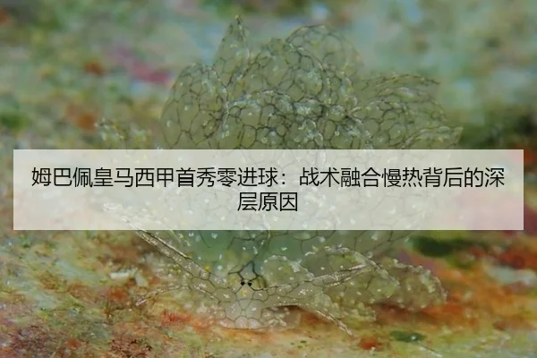 姆巴佩皇马西甲首秀零进球：战术融合慢热背后的深层原因