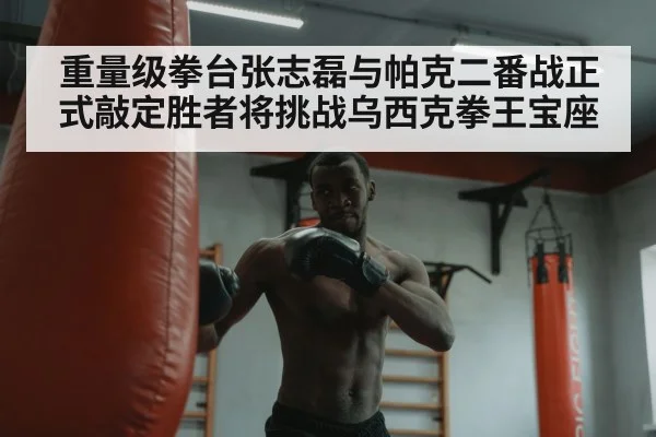 boxer training heavy bag