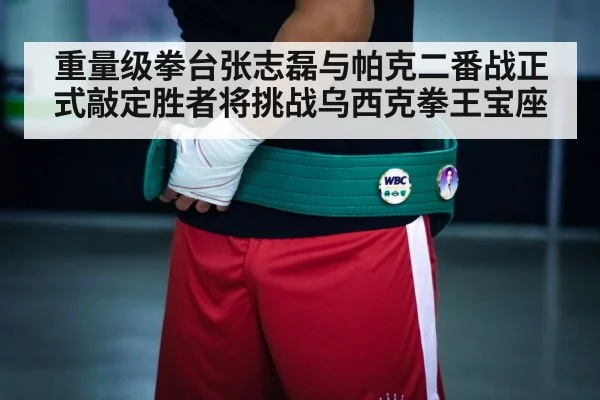 boxing championship belt