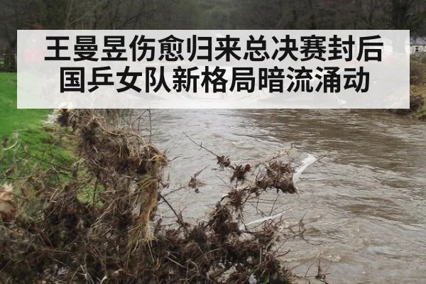 王曼昱伤愈归来总决赛封后 国乒女队新格局暗流涌动